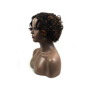 Hair Displays HD02